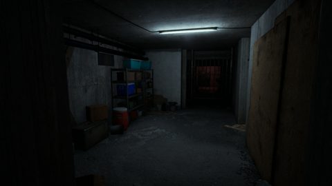 Basement corridor with storage shelves under a fluorescent lamp